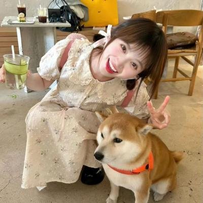 遁入宁静