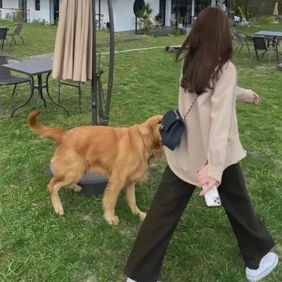 宁为寡妇
