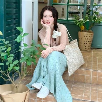 游击飞行中队