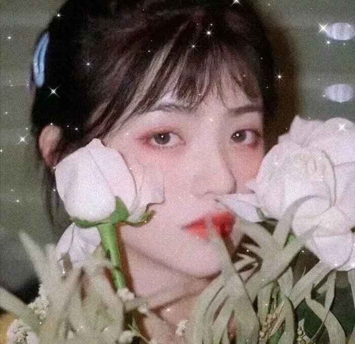 傀儡生涯