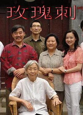 印度合伙人 封面图